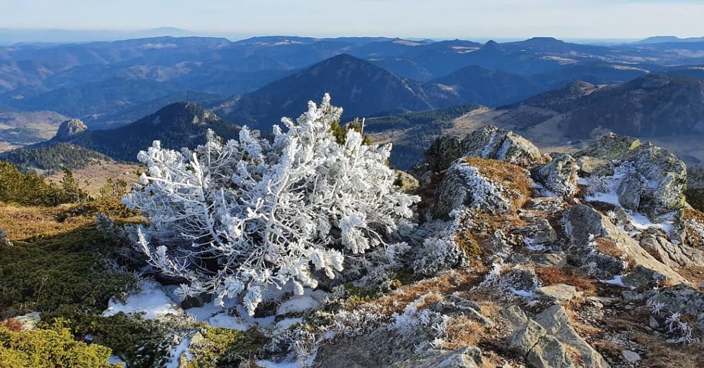 Le Mont Mézenc